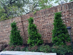 Кирпичный забор сплошной 12 метров фото в Туапсе